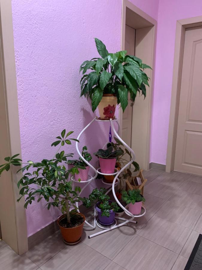 Къща За Гости Стойнови Pavel Banya Luaran gambar